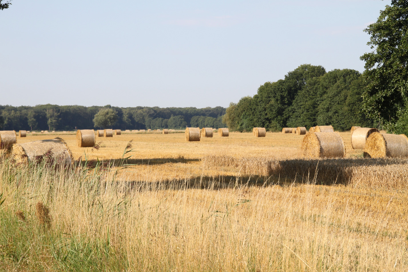 Felder, Stroh und Natur